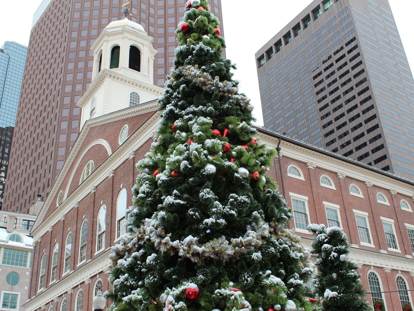 A decorated evergreen tree in front of a city scene with brick and glass buildings