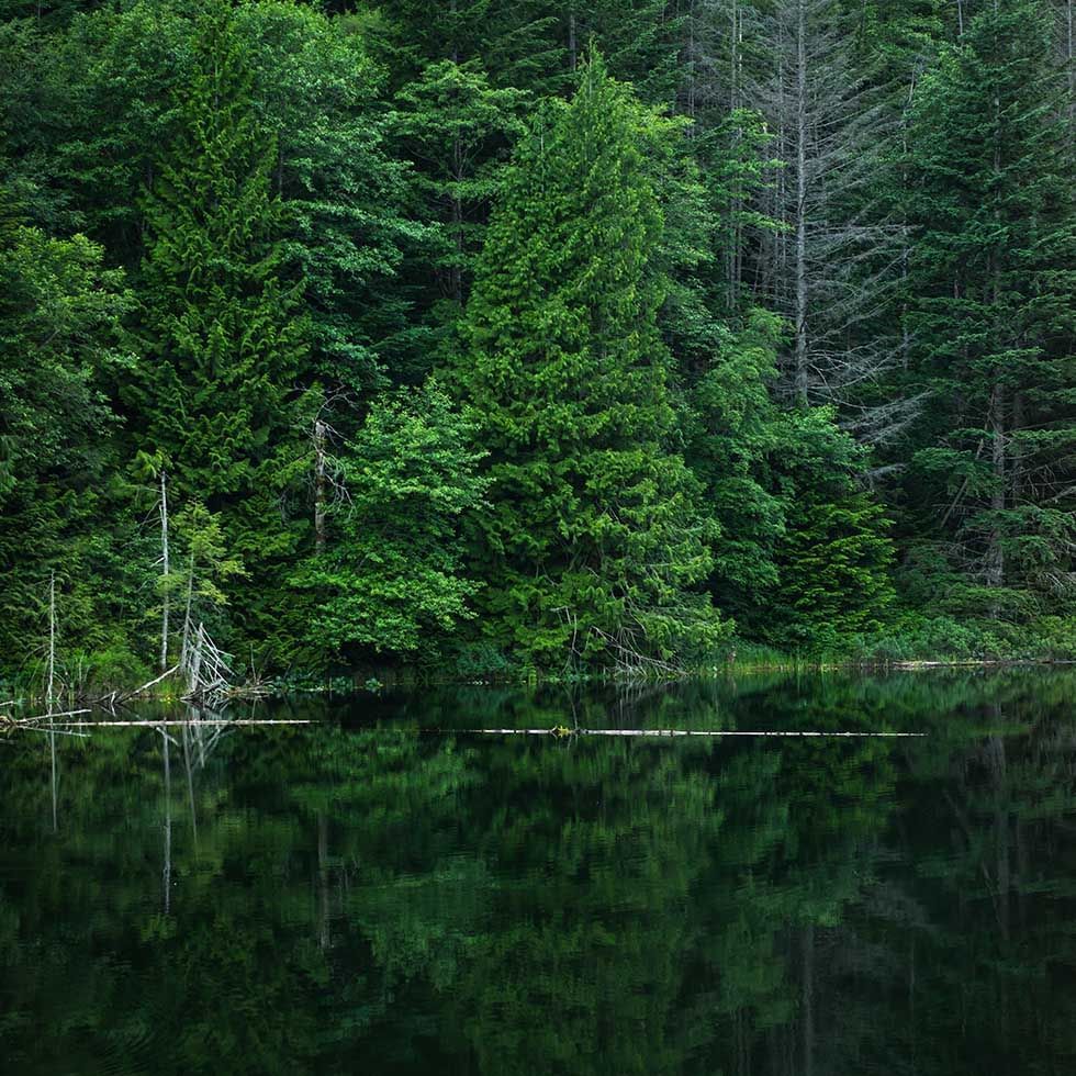 A lake by a forest in Kladska near Falkensteiner Hotels