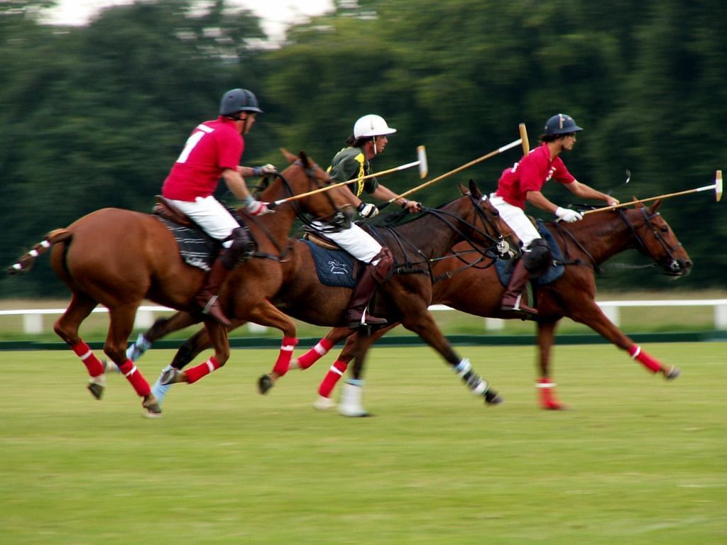 El partido Campo Argentino del Polo