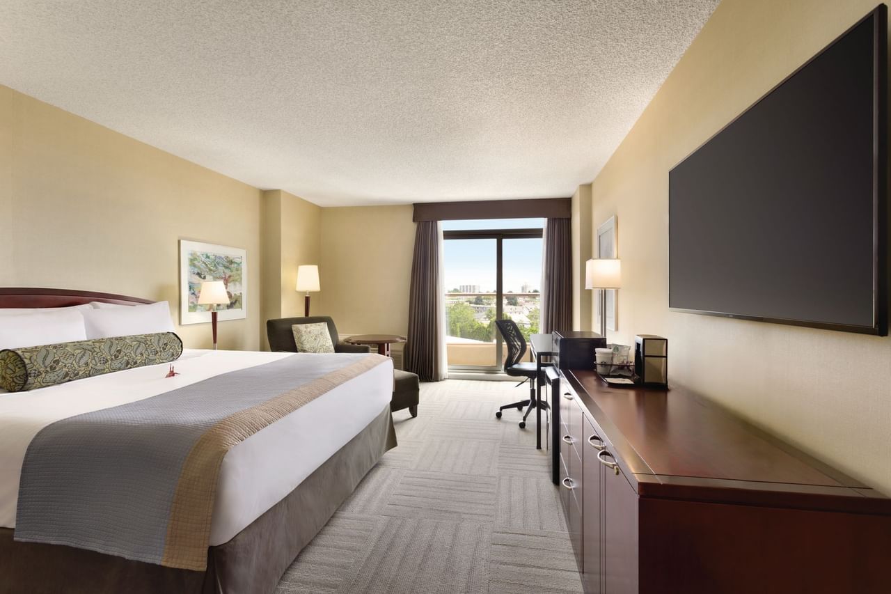 Comfort Superior City View Double