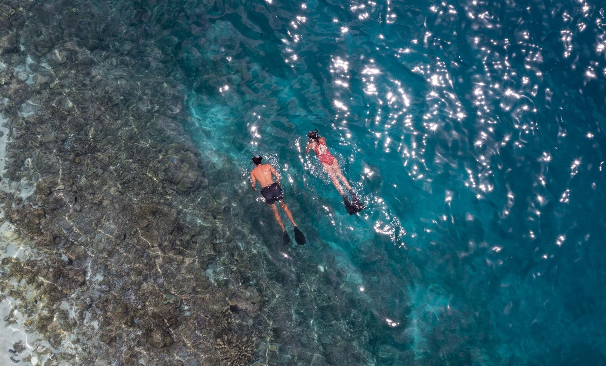A couple snorkeling in the sea near The Signature Collection