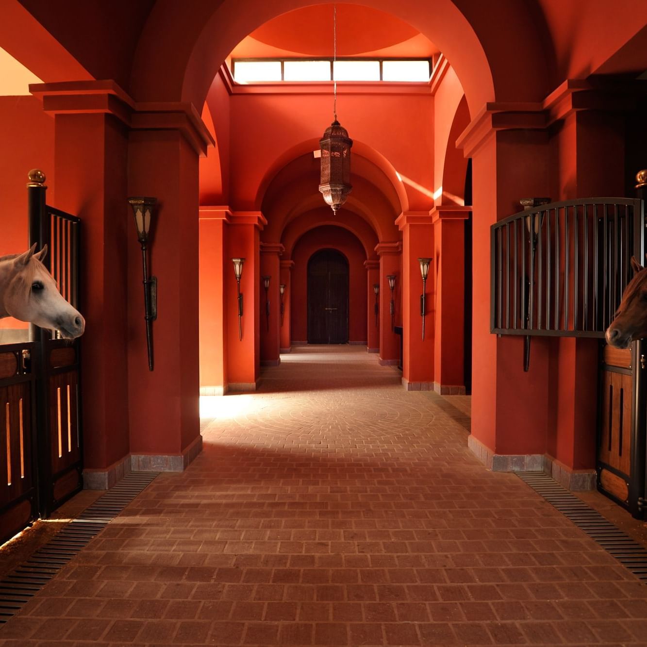 Horses standing in a hallway in the Stable at Selman Marrakech