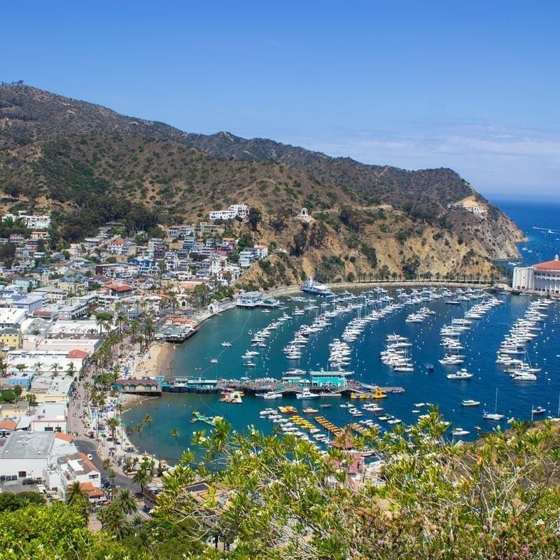 Catalina Island
