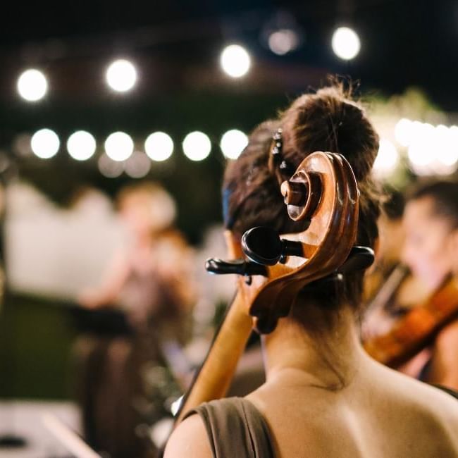 String quartet at wedding reception