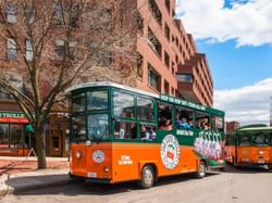 Two open-top tour buses with passengers, driving down a street lined with buildings and a tree.