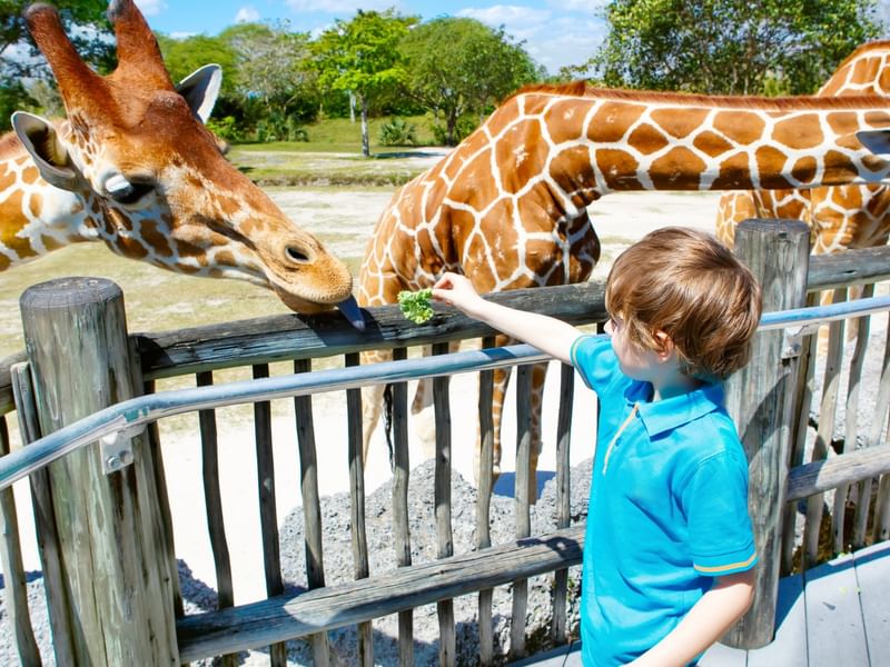 Zoológico de Mexicali