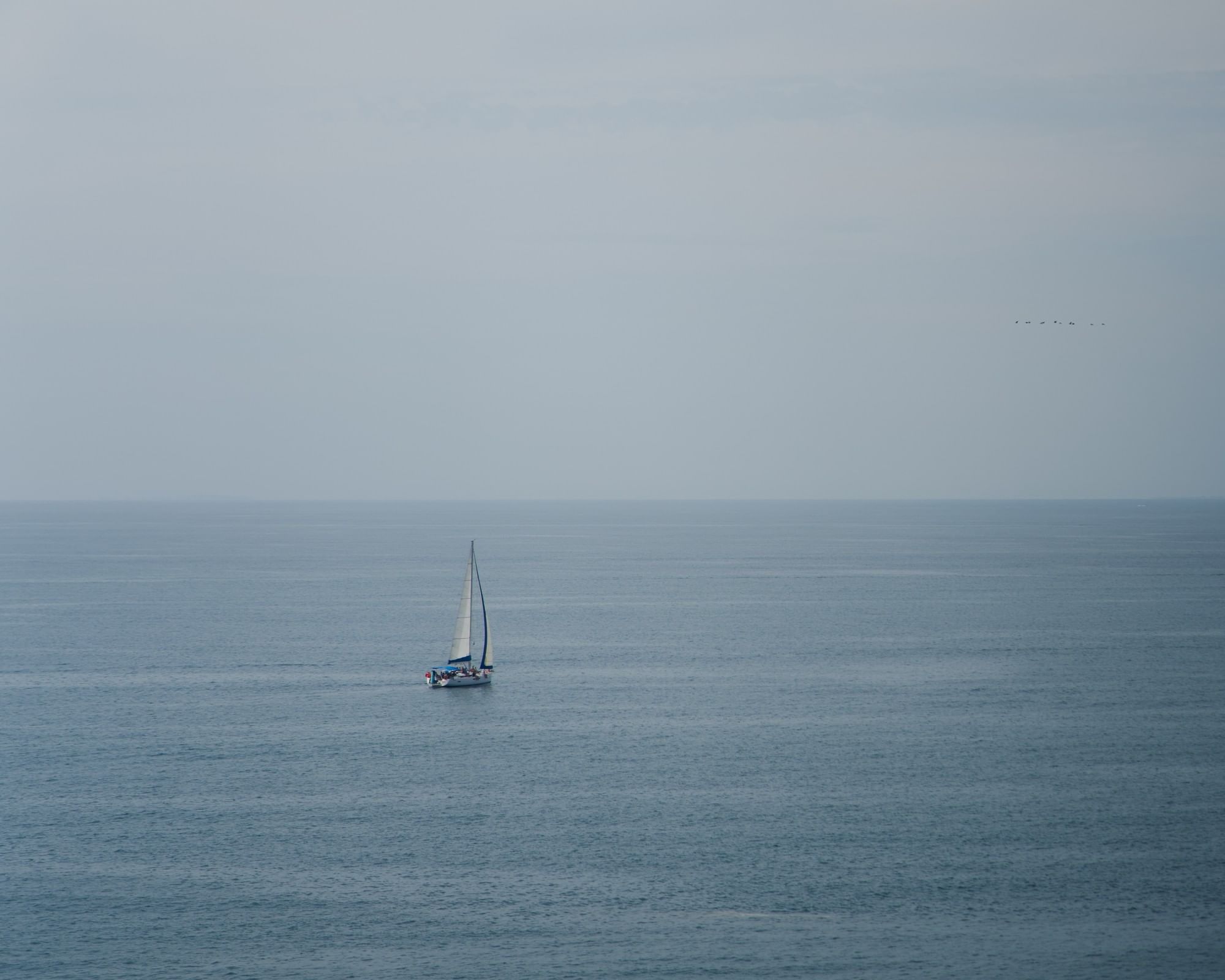 A lone sailboat with white sails navigating the calm, blue waters of the Pacific Ocean under a clear sky in Puerto Vallarta.