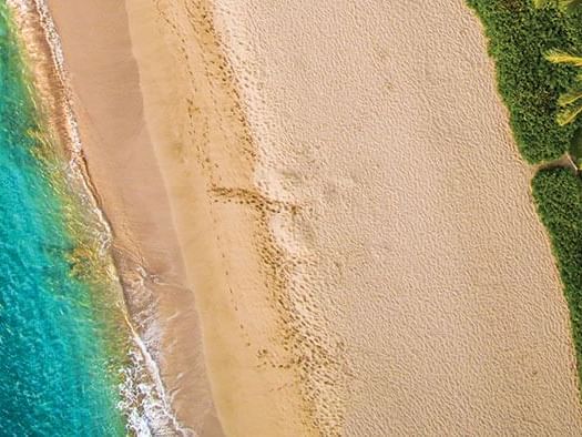 Stay Longer in Paradise