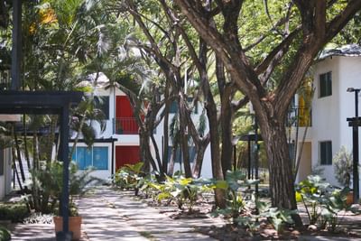 A walkway surrounded by lush greenery at Cha Cha Hotel