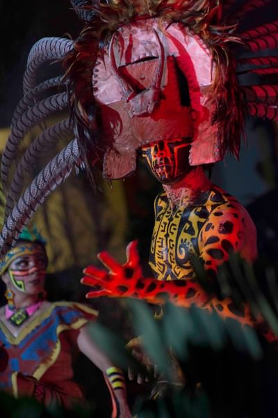 A man wearing a costume with a headdress showcasing cultural attire at Plaza Pelicanos Club Beach Resort