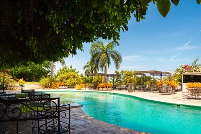 Curved pool by wrought-iron chairs under a palm tree, surrounded by pergolas and gardens at Hotel Montana Haiti