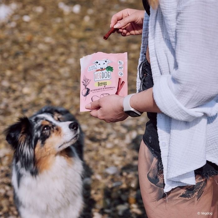 Frau mit Hund, die einen Vegdog-Snack hält, während der Hund zu ihr aufschaut.