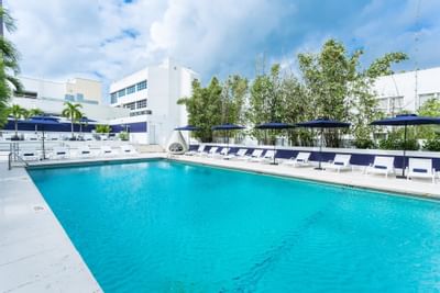 Outdoor pool with sunlouges at Albion Miami Beach