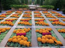 Flowers at North Carolina Arboretum near Mountain Inn & Suites