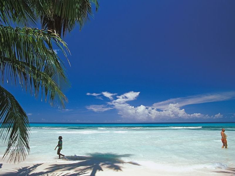 Magnificent Beaches Coconut Beach Hotel