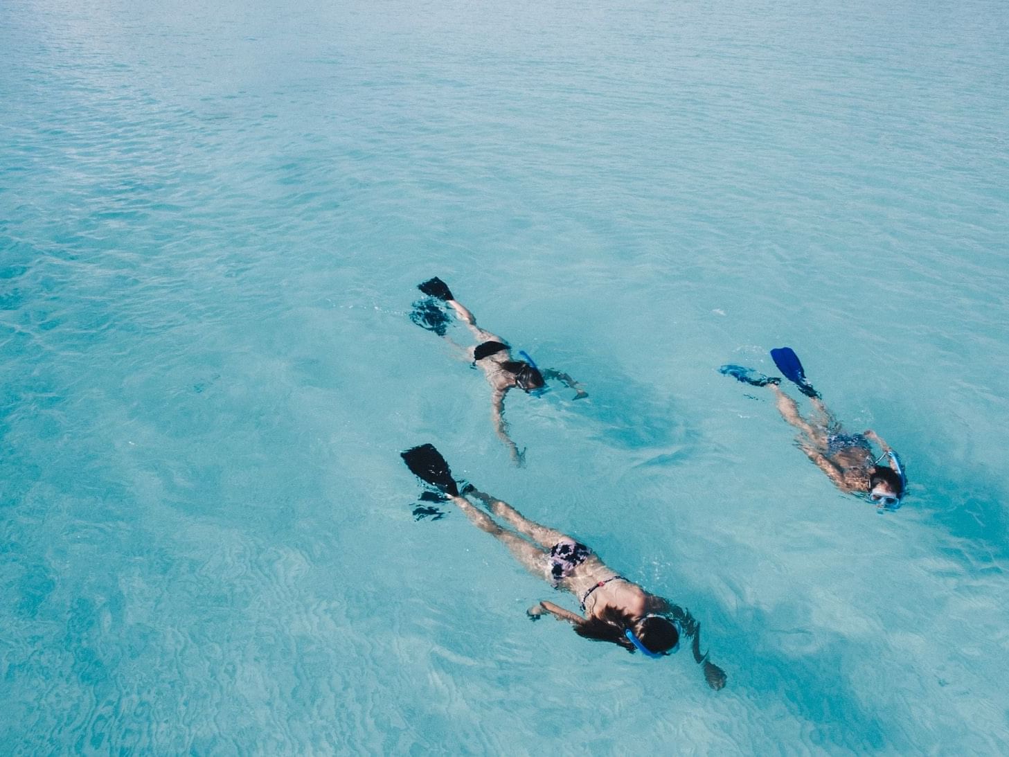 People snorkeling in the Snorkel Hanauma Bay at Waikiki Resort Hotel by Sono