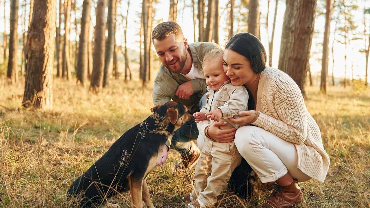 A family of three and a dog in the forest