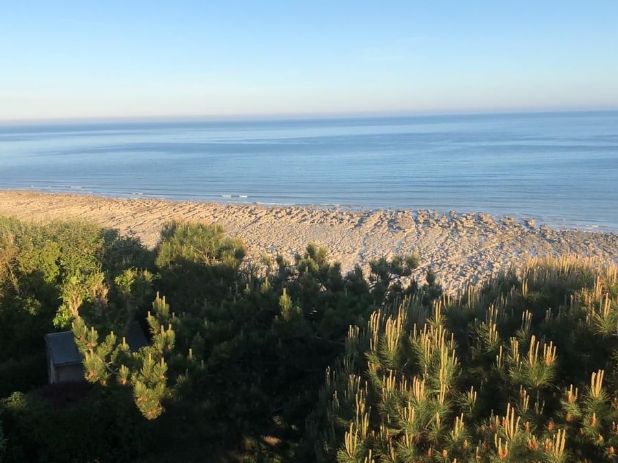 View of summer forest & beach on background near Le Cise