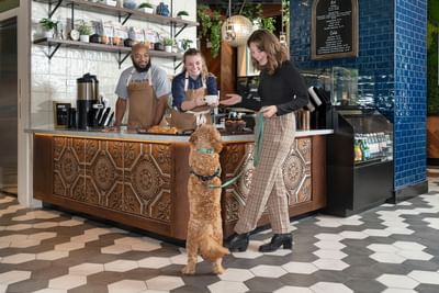 Guest with a dog receiving coffee by a patterned cafe counter under hanging pendant lights at Hotel Saint Clair
