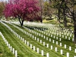 Arlington National Cemetery near Capitol Skyline Hotel