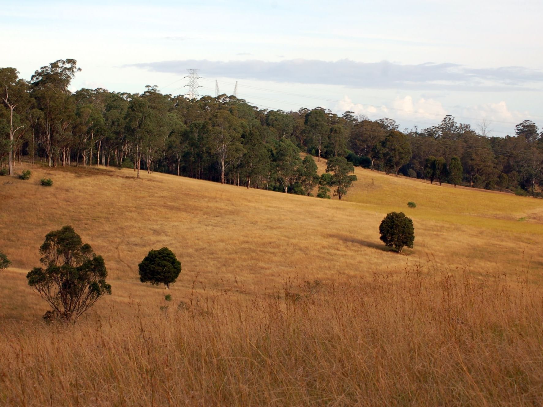 Western Sydney Parklands near Nesuto Parramatta Sydney Hotel