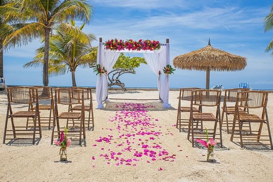 Wedding set up on the beach near Holiday Inns Montego Bay