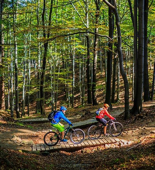 Couple riding on bikes in the woods near Coast Fort St. John