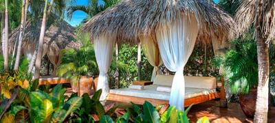 Garden at Jardín del Edén Hotel in Tamarindo, Costa Rica
