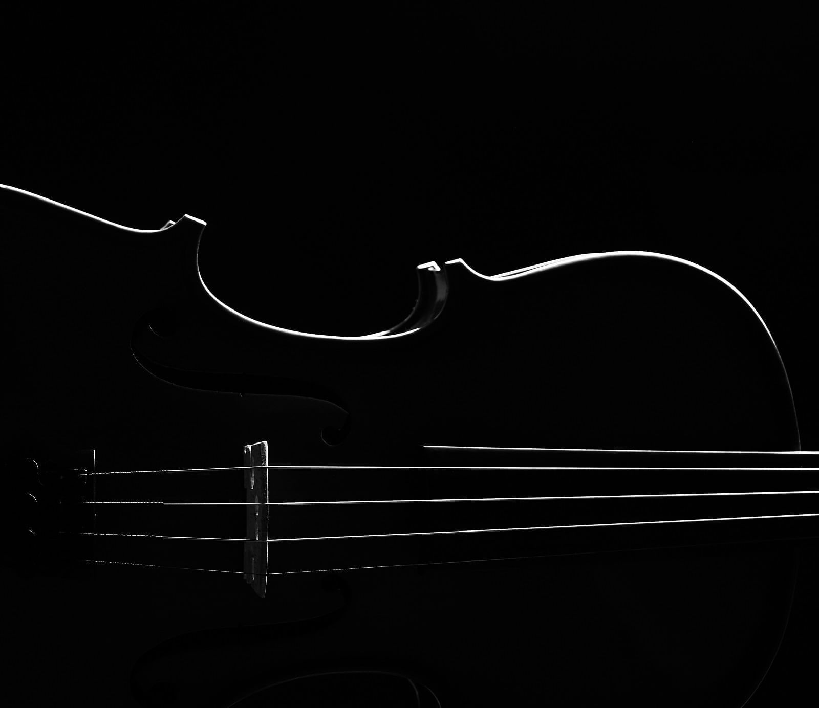 Close-up of a violin in a black background at The Londoner