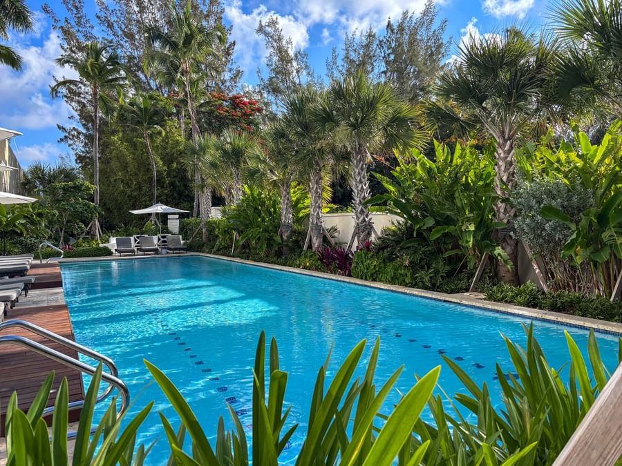 Lap pool by a wooden deck under palm trees surrounding dense tropical plants at Warwick Paradise Island Bahamas