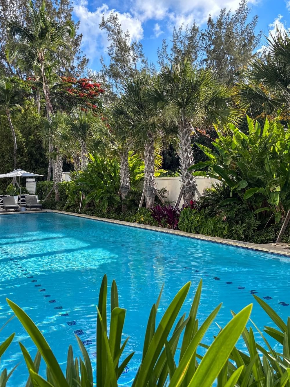 Lap pool surrounded by tropical plants and palm trees at Warwick Paradise Island Bahamas