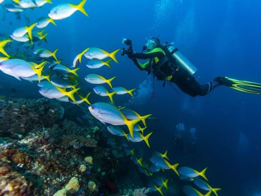 Diving at Qumquat Resort in Bali