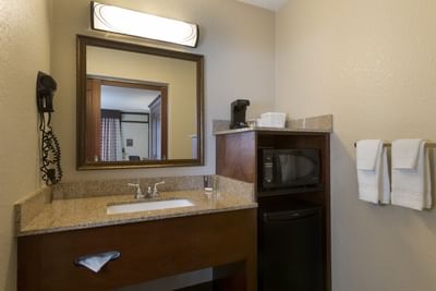 Kitchen Items and Sink in Deluxe King Room at Rosen Inn International
