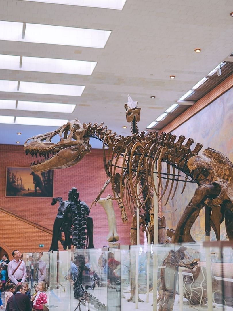 Dinosaur skeleton exhibit by Perot Museum guests under bright skylights near Warwick Melrose Dallas