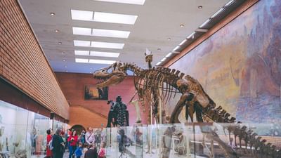 musée-Perot-activités