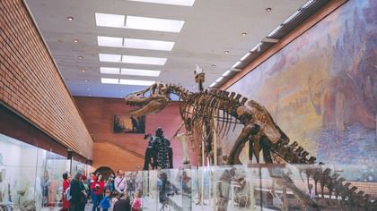 Dinosaur skeleton exhibit by Perot Museum guests under bright skylights near Warwick Melrose Dallas