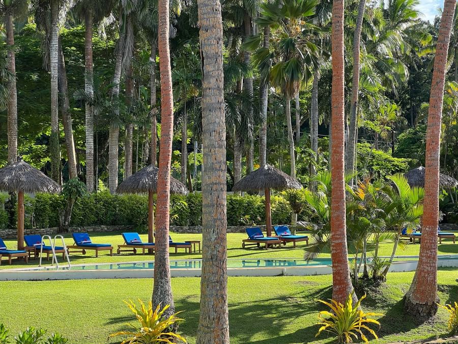 Tropical pool area with lounge chairs and thatched umbrellas at Tambua Sands Beach Resort Fiji.