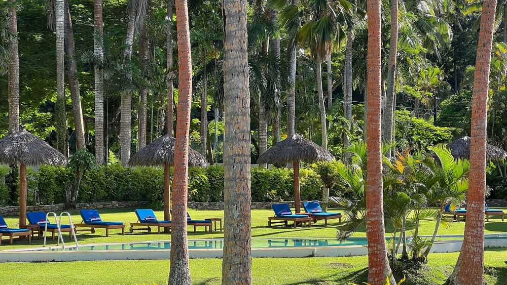 Lounge chairs and umbrellas around a pool at Tambua Sands Beach Resort in Sigatoka.
