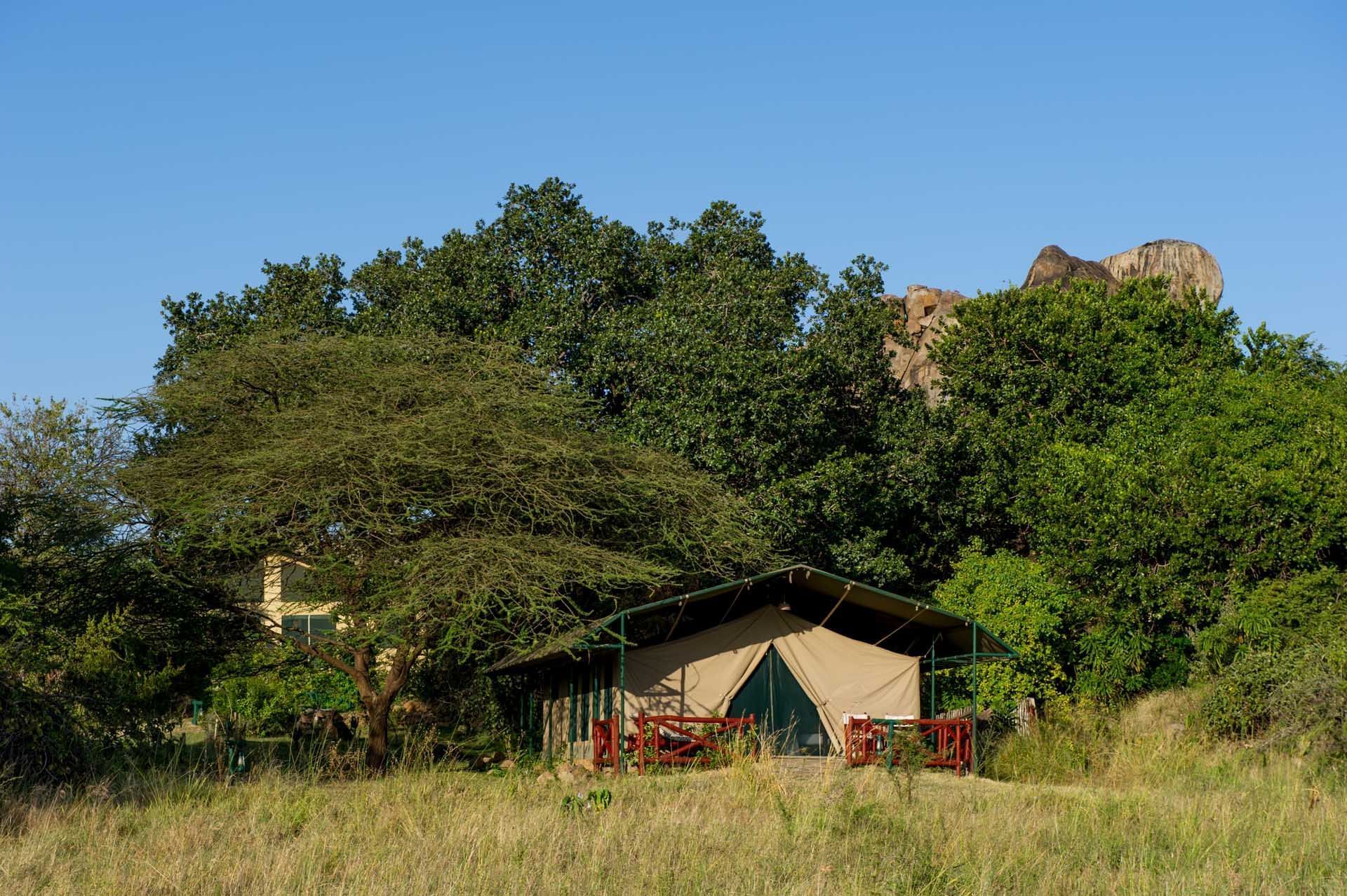 Tent placed in middle of the forest at Mbuzi Mawe Serena Camp