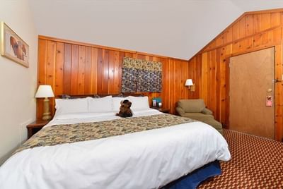 Wooden cupboard facing the cozy bed in Single King Cabin with carpeted floors at Buffalo Bill Village