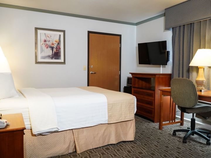 A hotel room with a bed, TV, desk, and chair.