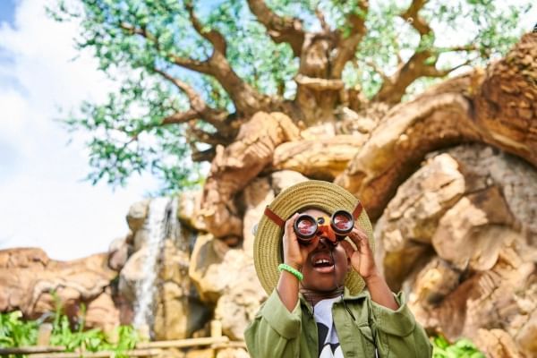 A boy in a safari hat looks through binoculars in front of a rocky outcrop, gnarled tree, and a waterfall. Animal Kingdom is a great Disney park for toddlers.