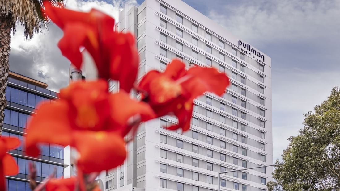 Low angle exterior view of Pullman Sydney Olympic Park through a Canna Lily