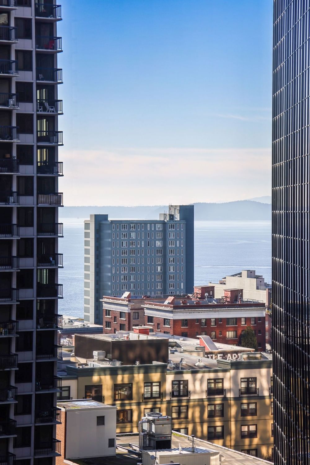 High-rise city buildings by the calm blue ocean under a clear sky near Warwick Seattle