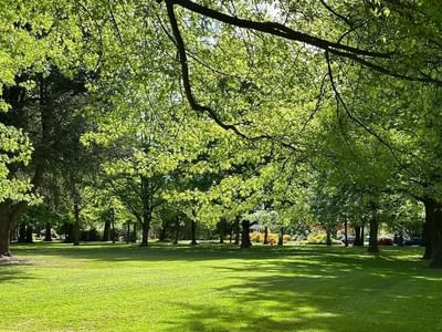 Green park with trees and cars in the background at Ilam Student Accommodation.