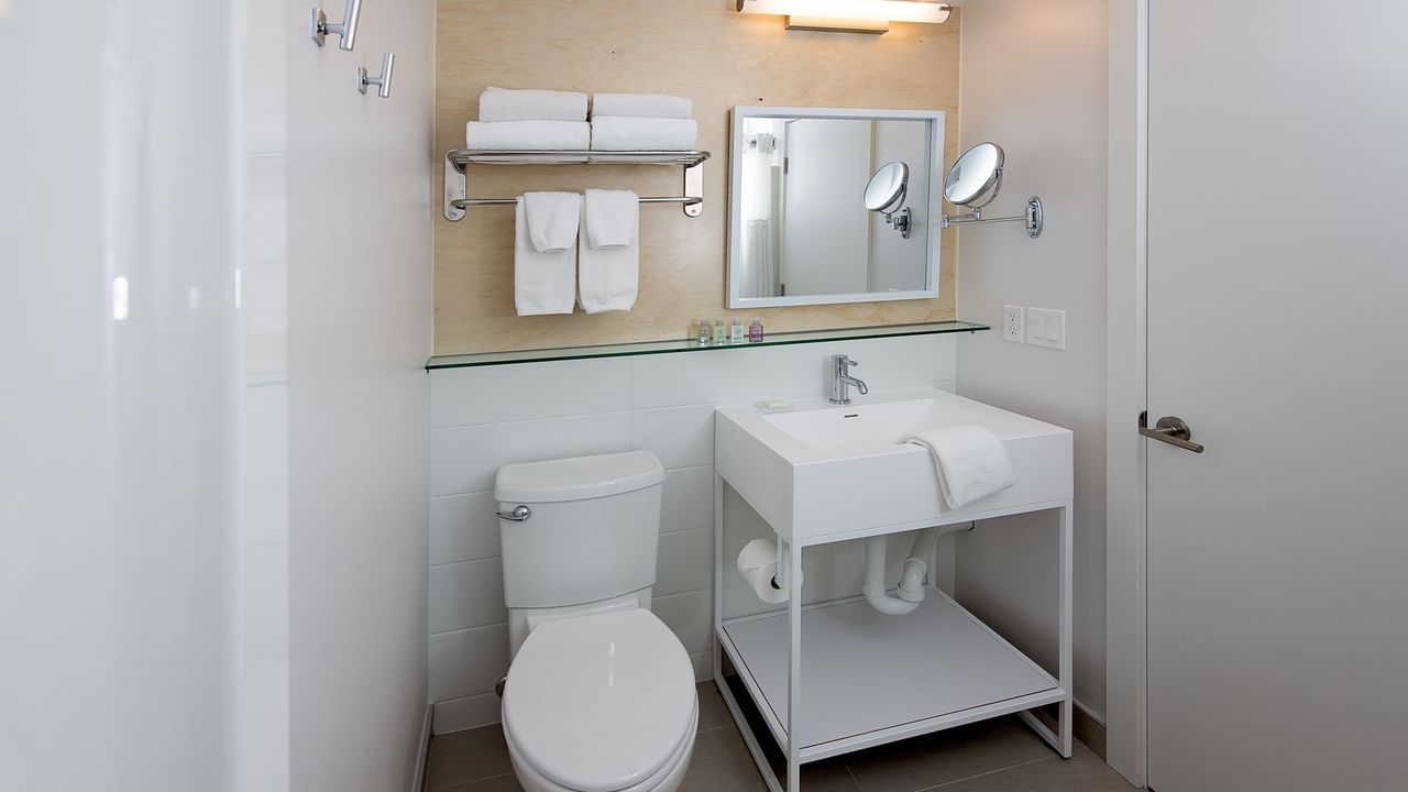 Toilet and sink in bathroom