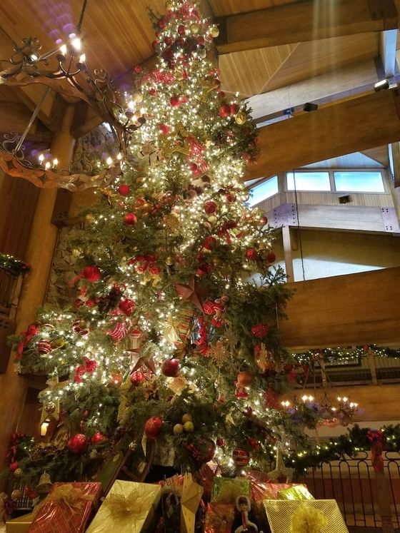 Christmas Tree at Stein Eriksen Lodge