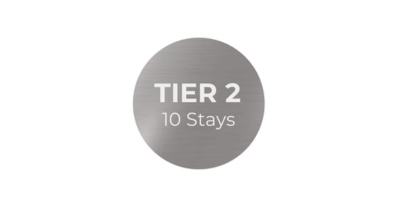 silver tier 2 logo