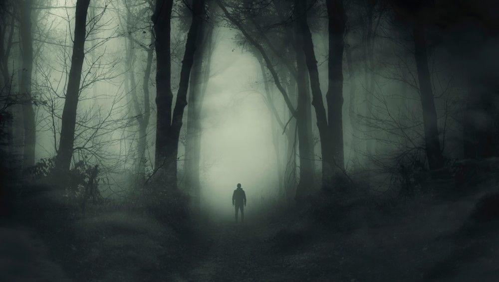 In the distance, an eerie figure of a man is silhouetted against a hazy, foggy opening of trees in a spooky, dark forest.