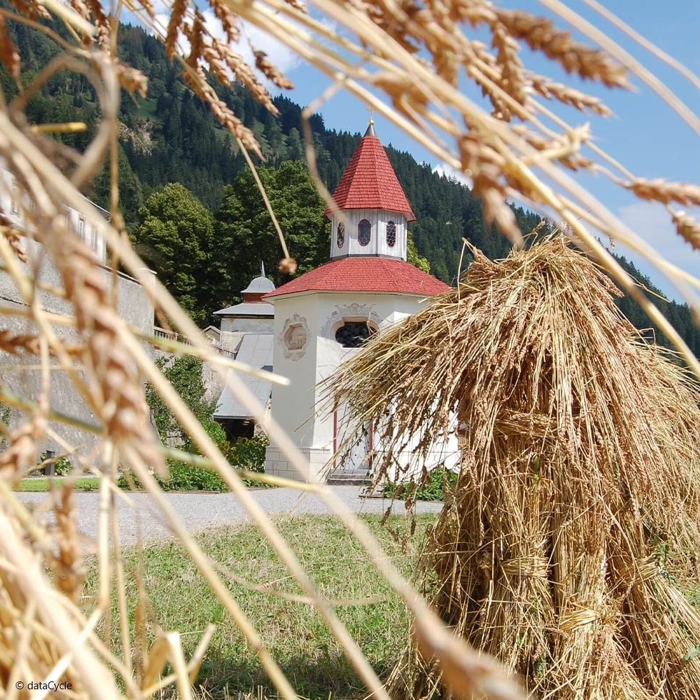 Foto di una chiesa con tetto rosso e fieno dorato in primo piano.